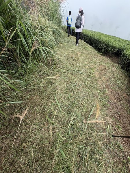 20251024雲嘉五連峰+碧湖山2924238