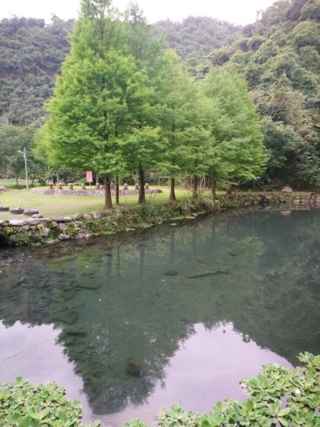 輕鬆行～隘勇古道、太陽埤環湖步道1357168