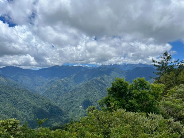 新竹 五峰 觀霧國家森林遊樂區 大鹿林道西線 榛山步道2811398