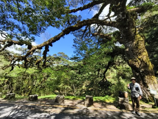 [玉山尋寶任務-09/12] 2025_0928 麟趾山步道2899885