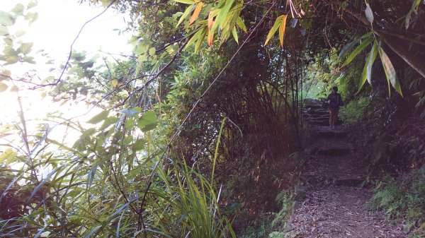 臺北大縱走第六段1779612