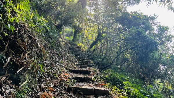 [台南東山]崁頭山步道|林蔭巨石木棧道視野遼闊的親子簡單輕鬆步道|優雅竹林圍繞三角點清幽野餐1603469