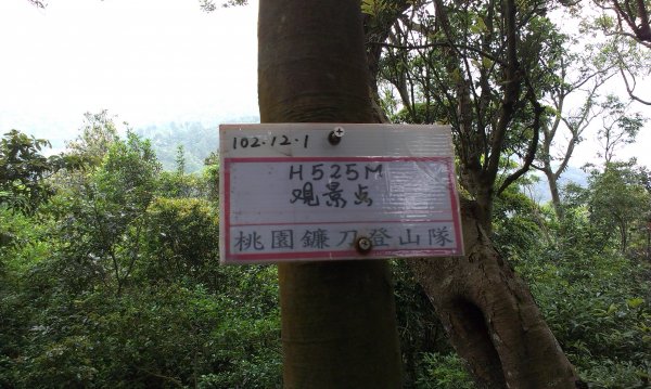 蓬萊仙島_石牛山_油井窩山O型201404301959955