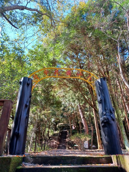 【台中和平】森林步道悠閒走。 八仙山森林遊樂區步道群2784593