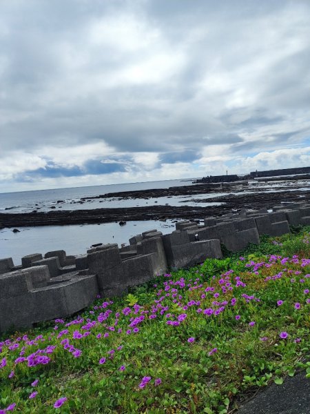 福隆舊草嶺環狀線單車行2818089