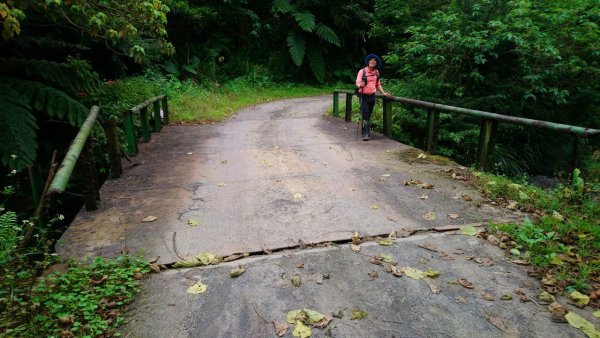 璀璨百年淡蘭古道～象寮古道、石空山、坪溪古道、梗枋古道O走1339420