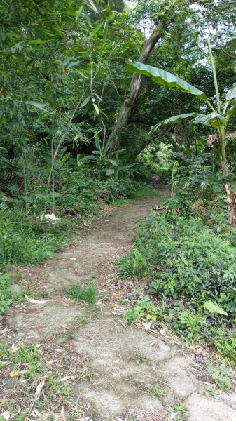 新溪洲山之樂400356