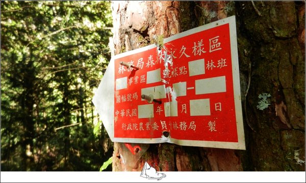 秋遊大雪山森林遊樂區(雪山神木步道)474372