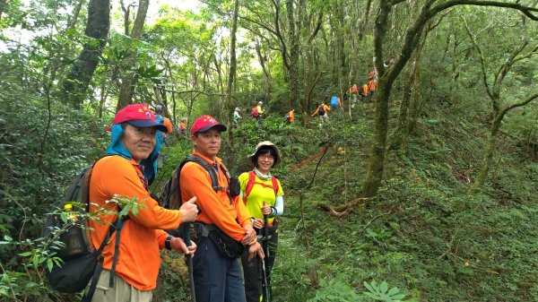 小百岳+古道~八五山古道登李崠山(#2618107