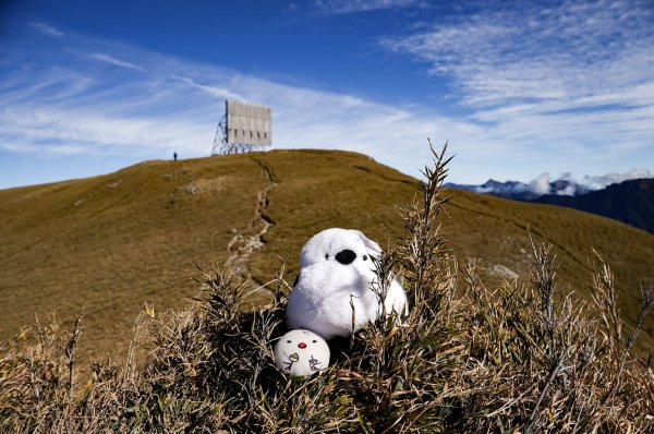 合歡北峰 新手百岳2970192