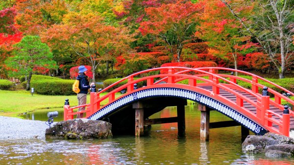 岩手縣藤原之鄉2930095