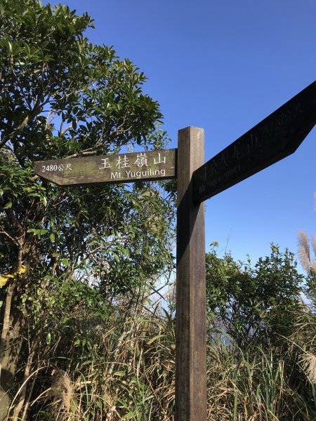 2021.12.11 獅公髻尾山-伏獅山 原路往返(獅公髻尾山 傑士嶺 火燒寮山 下九芎坑山)1550668