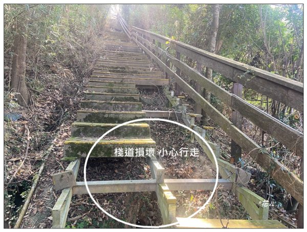 頭屋南山O型路線 (隘寮崠步道)2711202