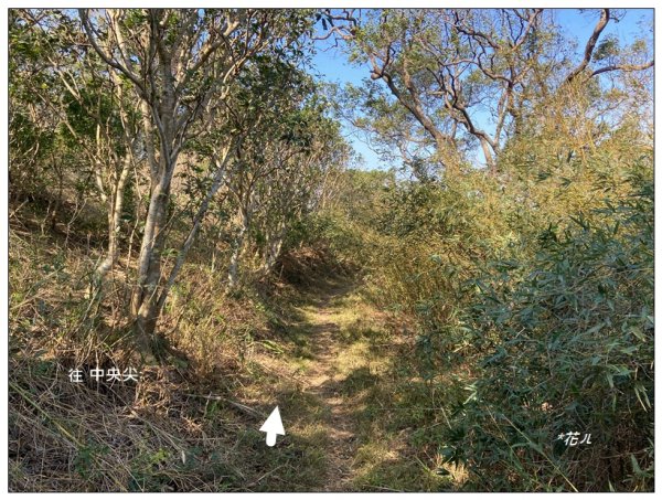 中央尖、山背伯公步道O型路線2708782