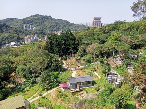 象獅豹虎-四獸山探秘之象山秘境（2-1 捷運象山站→無極瑤池宮）2065537