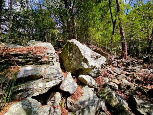 波津加山-谷關七雄(老四)3015165