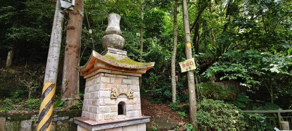 關西赤柯山+赤柯山南峰+東獅頭山+西獅頭山 O型-2026/08/113102688