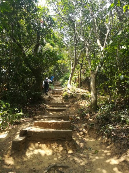 劍潭山小散步·見識沙塵暴下的台北市1356911