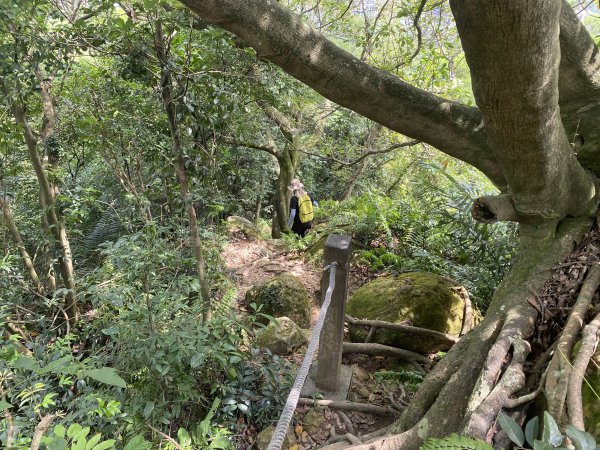 2025微笑山線大縱走尋寶集章任務-Ep.03【鳶山山系】鳶山彩壁段2893718