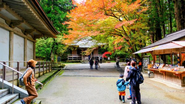 岩手縣中尊寺2930156