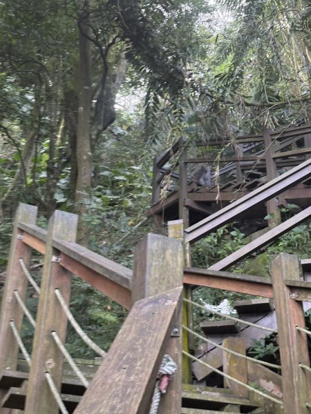 20251025南化龍湖寺至紫竹寺O繞(石松子山.大竹崙山.竹子尖山)2925089