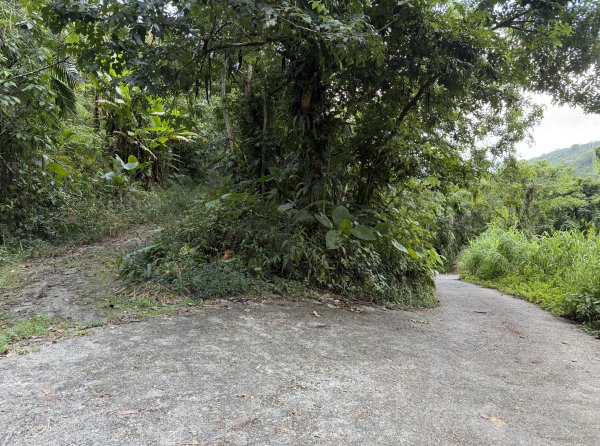 2025_1018 花蓮縣鳳林鎮鳳凰瀑布2921371