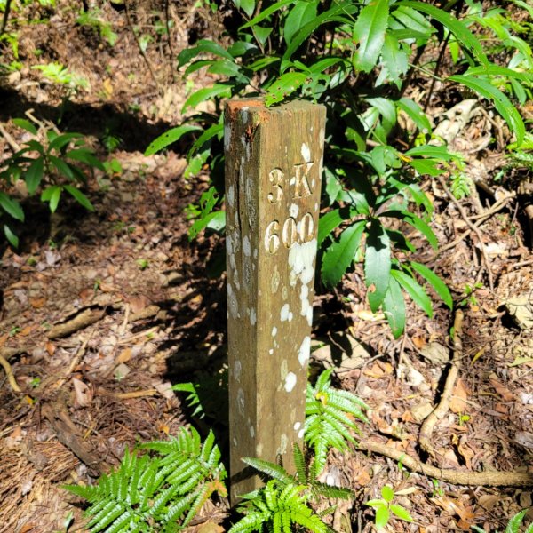 象鼻古道、千兩山步道2219266