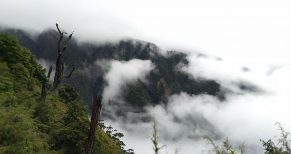 菜鳥新手之玉山主峰372166