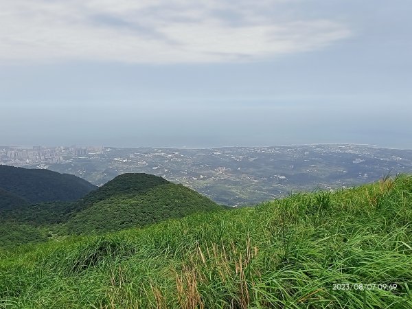 【臺北大縱走 2+1】鞍部→大屯山主、南、西峰連走→面天坪→清天宮2242878