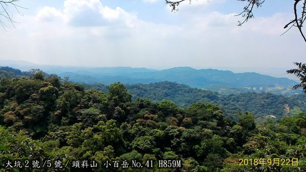 大坑2號/5號二登頭嵙山409091