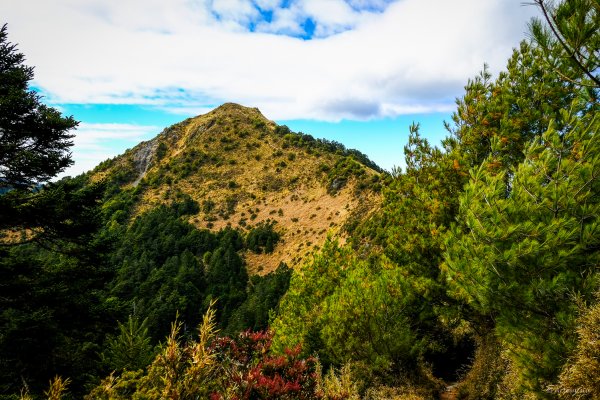 [冬訪大霸聖山岳參行]-榮耀桂冠B'bu' Papak聖稜精選輯2974838