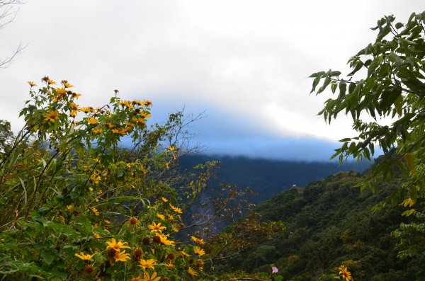 東埔山 & 麟趾山1076183