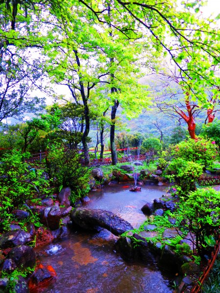 雨天獨有的浪漫步道：登茶壺山 賞海天一色544664