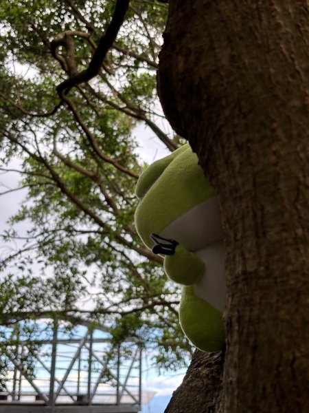 2025-09-06 牛港稜山步道2883868