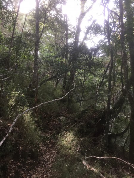 20211218高雄庫哈諾辛山1588313