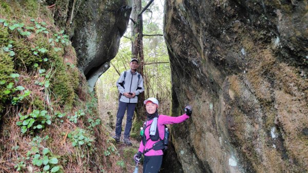 大塔山探勘大塔山最高峰(光頭兄) O繞順走大塔山西峰艱難路線下溪谷 2024年8月11日2569722