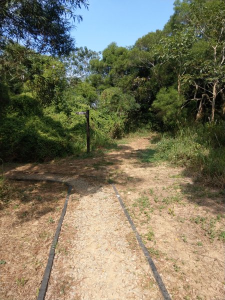 瑞井串聯環保公園登山步道1909157