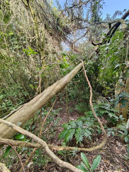 2024.02.17 關西金山2845317