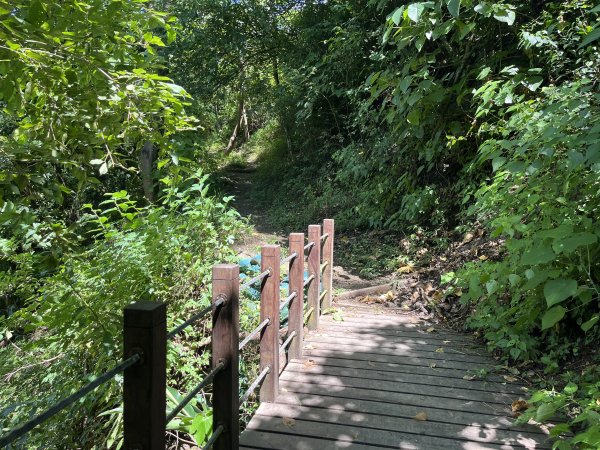 [屏步青雲 尋寶任務-04/10] 2024_0917 浸水營步道（前段）2597924