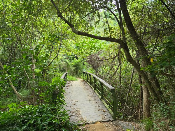 大社觀音山十三連峰環形2924417