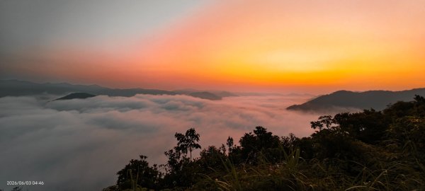 #坪林 #火燒雲 #日出 #雲海 #觀音圈 #金山 #花鳥蝶 6/3&4&163068877