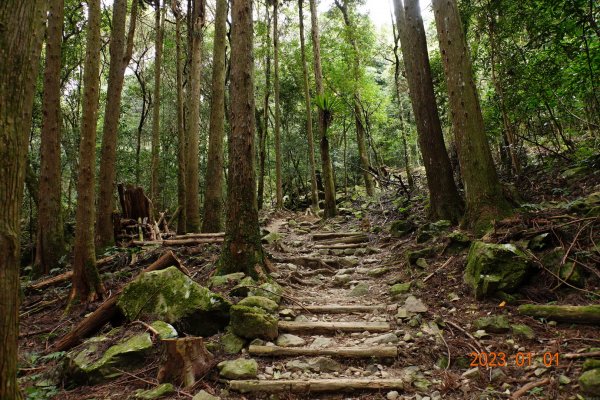 苗栗 南庄 加里山1979962