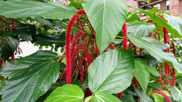 滴水子產道1737578