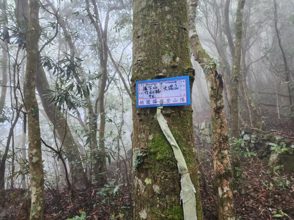 20230409那羅山、煤源山、大混山、道下山O型2142000