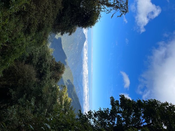 20231127_觀霧榛山步道（森遊竹縣）2763098