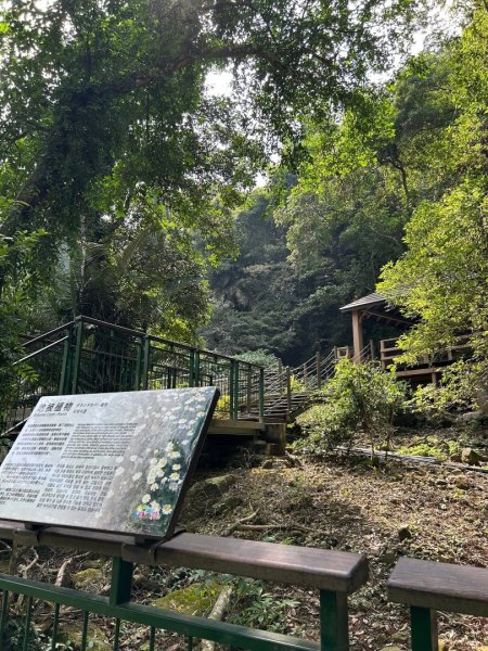 ［竹山］瑞龍瀑布步道  竹山第一美瀑之稱2909745