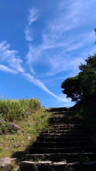 揮汗濕滿衫!喜登茶壺山146934