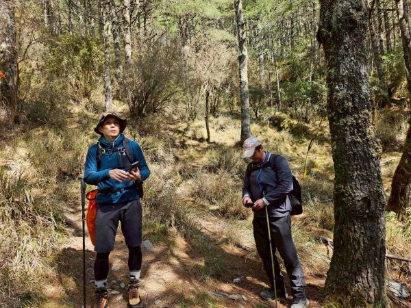 20260320四個毆鷄桑🦸‍♀️南橫溪頭山O繞關山嶺山3022686