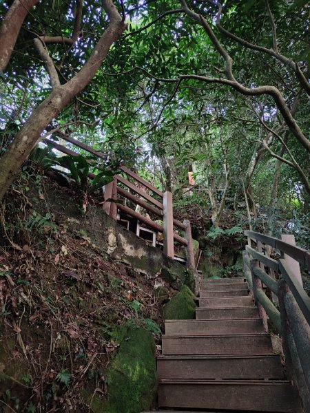 2023.12.08 南勢角山2695818