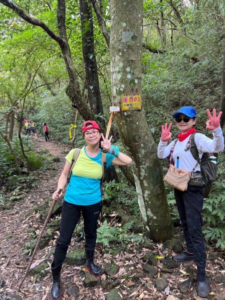 東勢大崙、東勢坑山、觀音湖山O走2986348